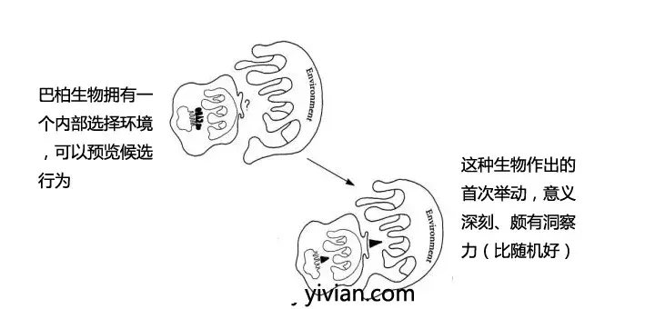 Kinds-of-Minds-thumb-standard